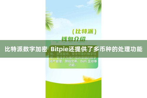 比特派数字加密 Bitpie还提供了多币种的处理功能