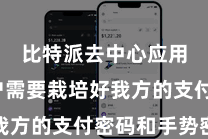 比特派去中心应用 用户需要栽培好我方的支付密码和手势密码