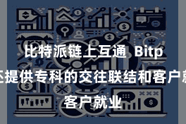 比特派链上互通 Bitpie还提供专科的交往联结和客户就业