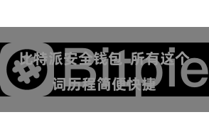 比特派安全钱包  所有这个词历程简便快捷