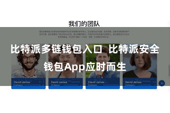 比特派多链钱包入口  比特派安全钱包App应时而生
