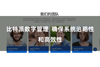 比特派数字管理  确保系统治略性和高效性