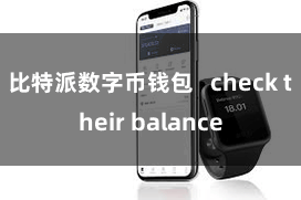 比特派数字币钱包   check their balance