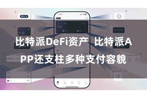 比特派DeFi资产 比特派APP还支柱多种支付容貌