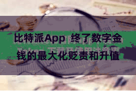 比特派App  终了数字金钱的最大化贬责和升值