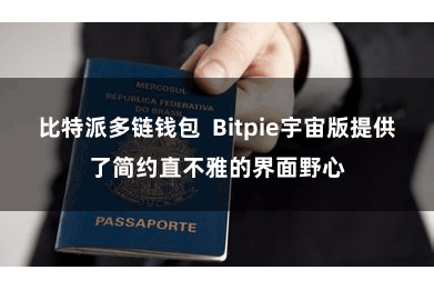 比特派多链钱包  Bitpie宇宙版提供了简约直不雅的界面野心