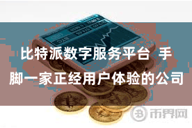 比特派数字服务平台  手脚一家正经用户体验的公司