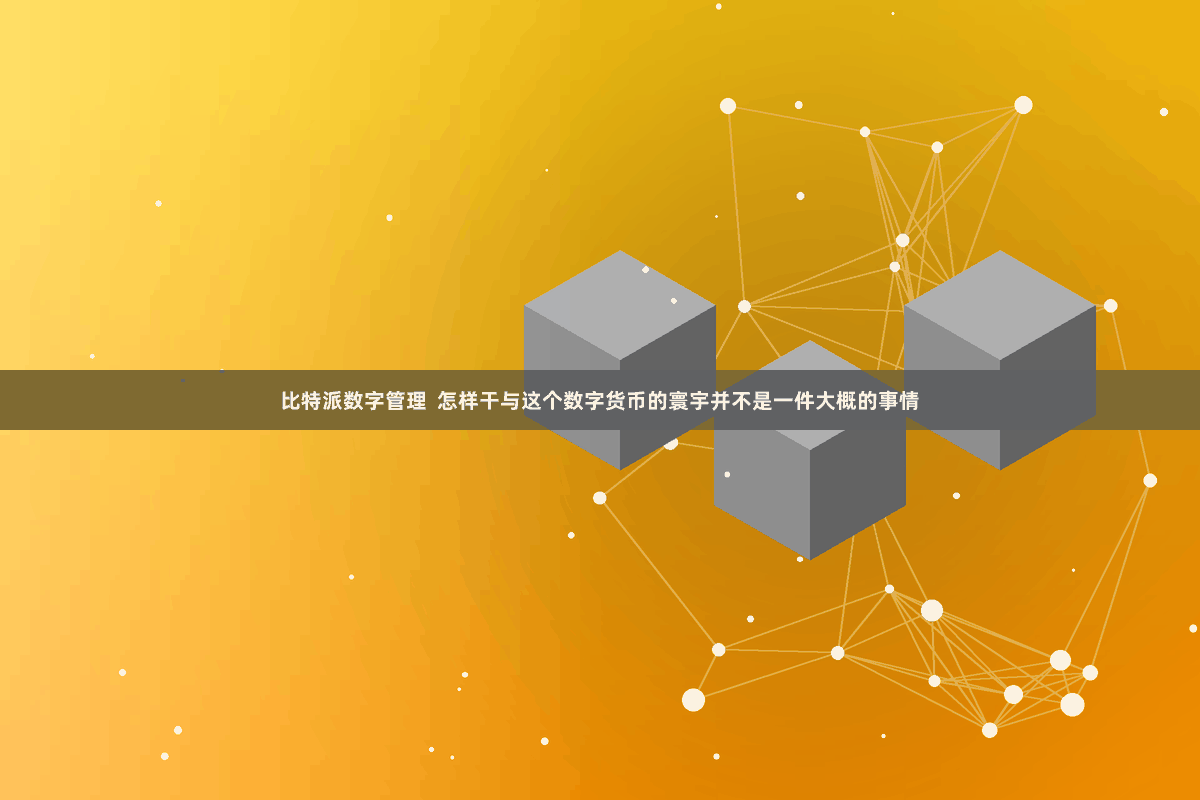 比特派数字管理  怎样干与这个数字货币的寰宇并不是一件大概的事情